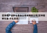 区块链产业孵化基金公司有哪些公司[区块链孵化器 什么意思]